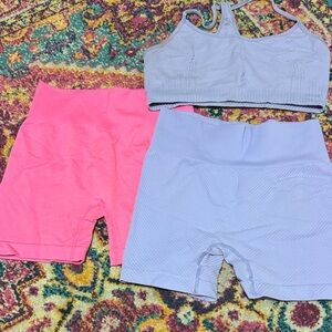 Pink and purple High-Waisted Shorts and bra